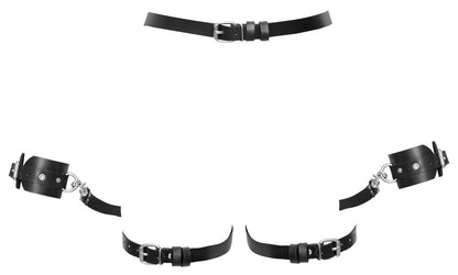 Harness con Manette